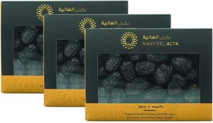 NAKHEEL ALYA AJWA DATE(600G)