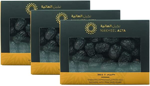 NAKHEEL ALYA AJWA DATE(600G)