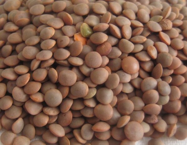 sabut masoor 800g