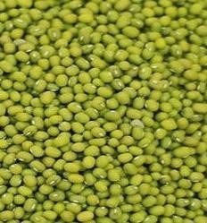 GREEN MOONG BEAN 800g