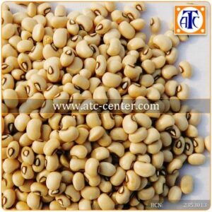 LOBIYA 800G