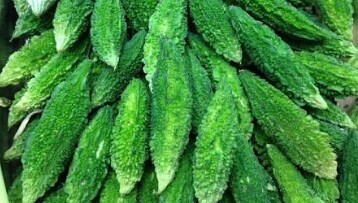 Fresh BITTER GOURD (Karela) 1kg