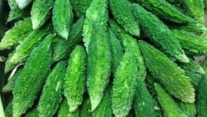 Fresh BITTER GOURD (Karela) 500g