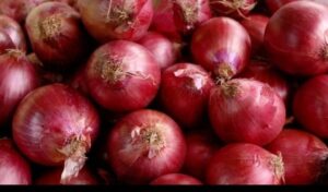 RED ONION 1 kg