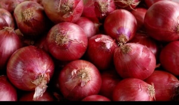 RED ONION 1 kg